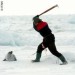...Zabíjení mladého tuleně